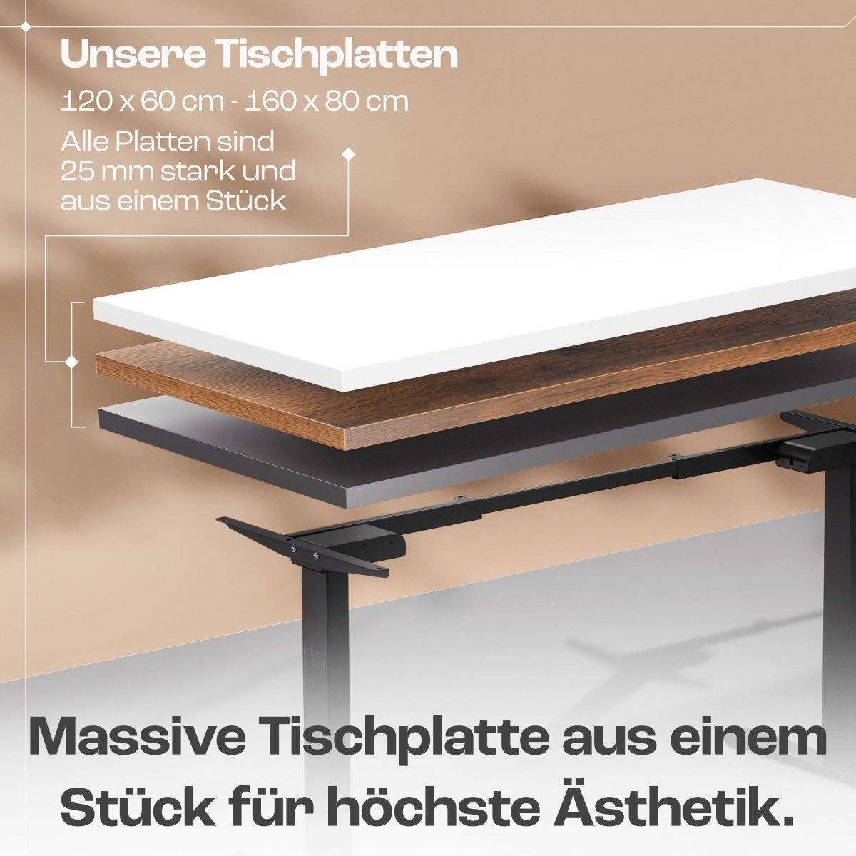 CLOUVOU x WINTONCOVE Höhenverstellbarer Schreibtisch mit Dual - Motor & sauberem Kabel - Versteck - Clouvou#farbe_schwarz-eiche