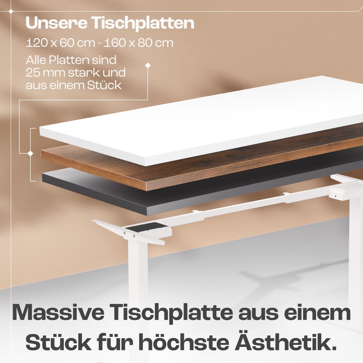 CLOUVOU x WINTONCOVE Höhenverstellbarer Schreibtisch mit Dual - Motor & sauberem Kabel - Versteck - Clouvou#farbe_weiss-eiche