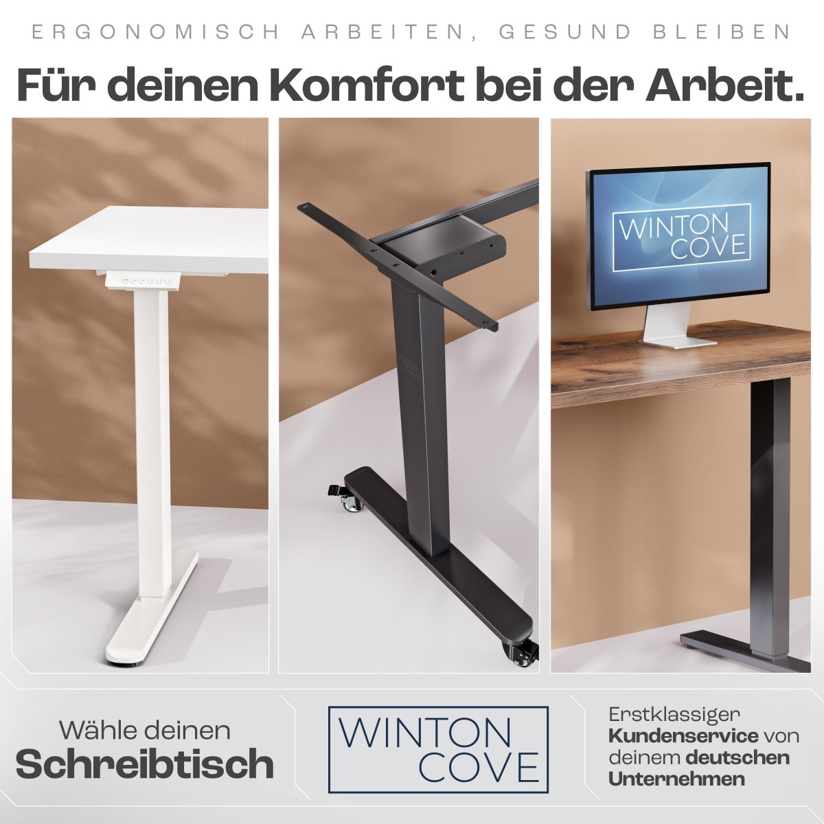 CLOUVOU x WINTONCOVE Höhenverstellbarer Schreibtisch mit Dual - Motor & sauberem Kabel - Versteck - Clouvou#farbe_schwarz-eiche