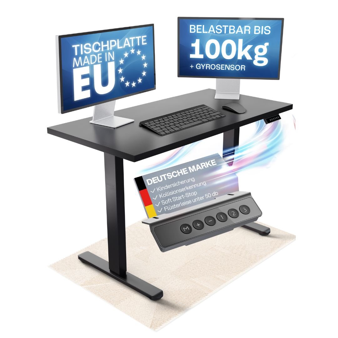 CLOUVOU x WINTONCOVE Höhenverstellbarer Schreibtisch mit Dual - Motor & sauberem Kabel - Versteck - Clouvou#farbe_schwarz-schwarz